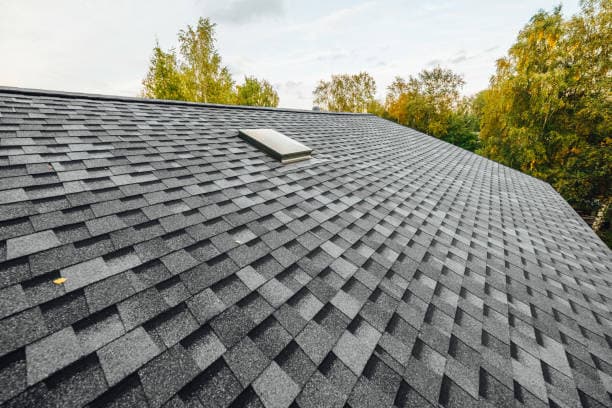 Shingles in the afternoon sunlight